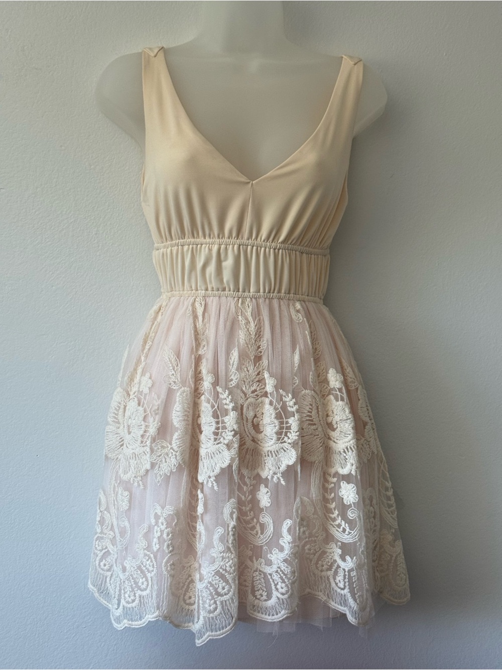 American Rag Cie XS Blush Pink Embroidered Lace Tulle Fit & Flare Dress